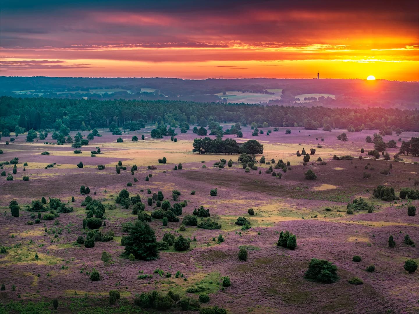 Stimbekhof - Im Herzen der Lüneburger Heide
