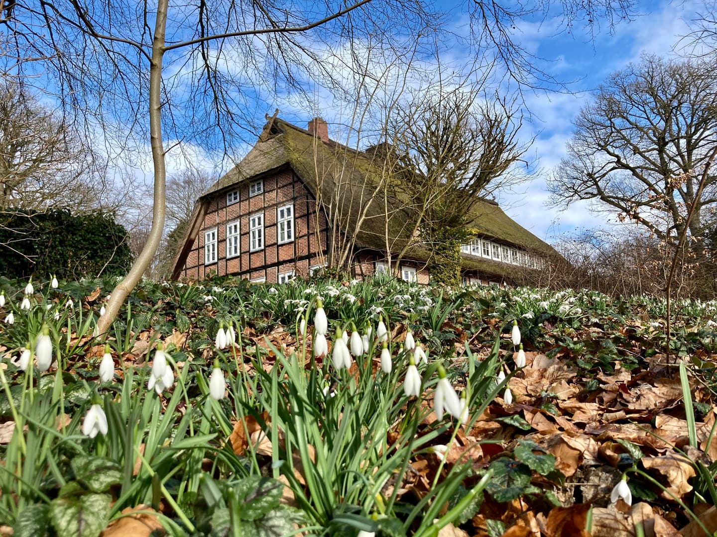 frühling haupthaus
