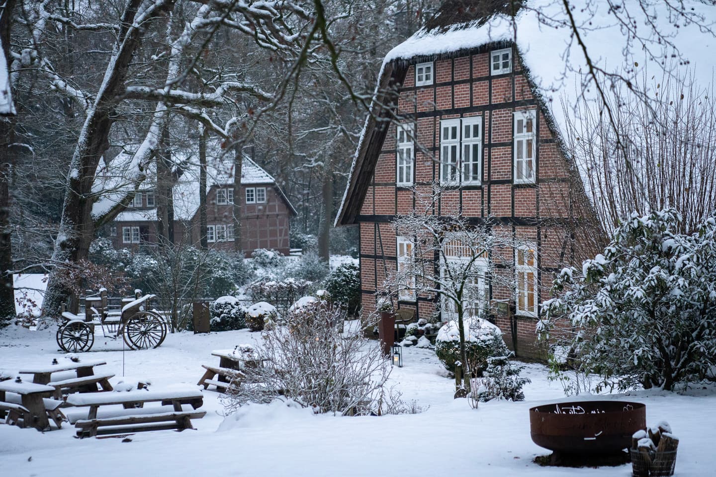 winter