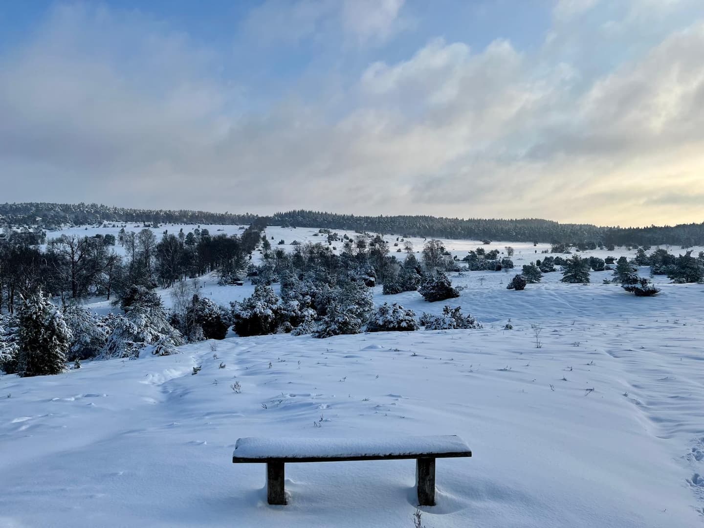 winter in der lüneburger heide