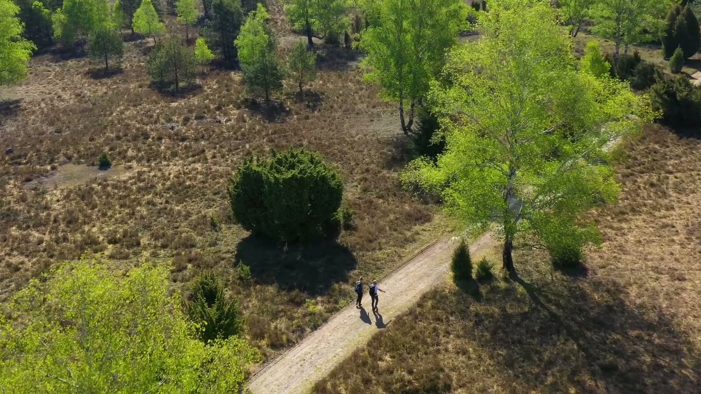 Lüneburger Heide im Frühling aus der Luft