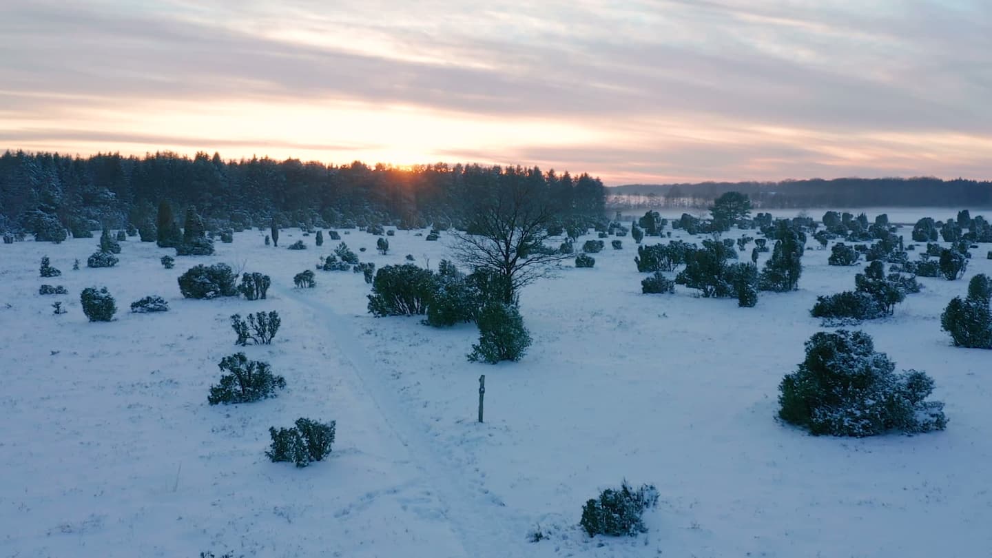 Lüneburger Heide im Winter aus der Luft